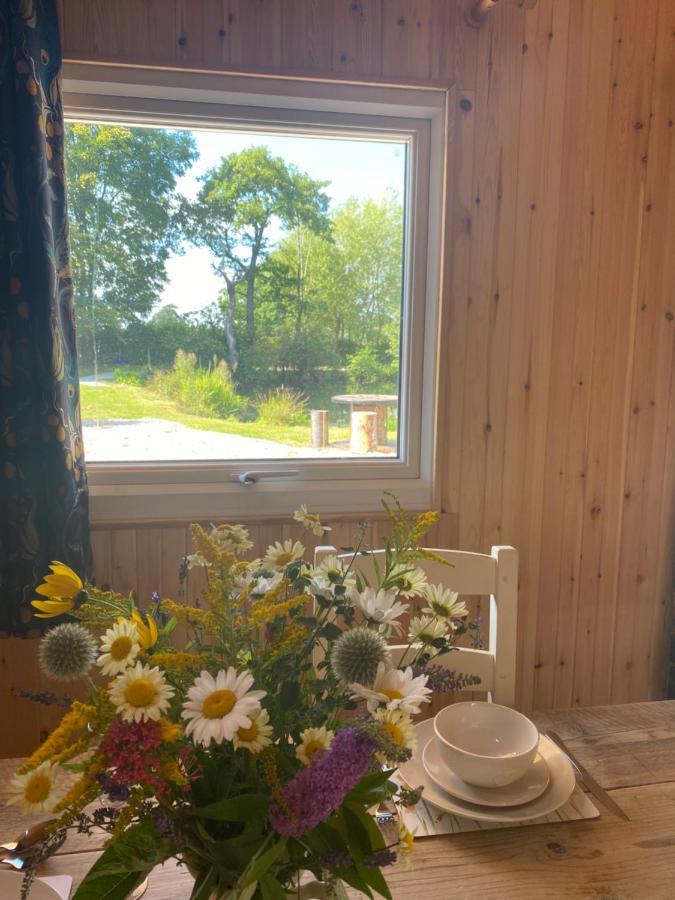 Kingfisher Cabin - Wild Escapes Wrenbury Off Grid Glamping - Ages 12 And Over Baddiley المظهر الخارجي الصورة