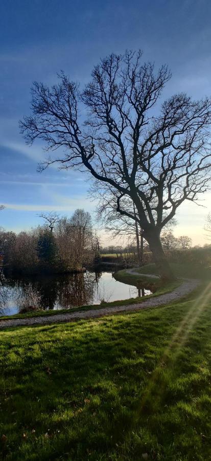 Kingfisher Cabin - Wild Escapes Wrenbury Off Grid Glamping - Ages 12 And Over Baddiley المظهر الخارجي الصورة